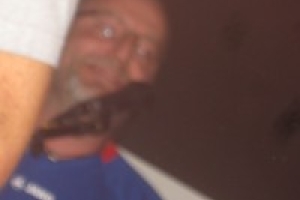 gsindl fleischi 170 20130504