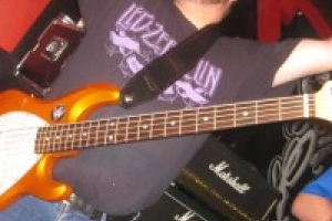 gsindl fleischi 185 20130504