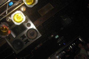 gsindl fleischi 196 20130504